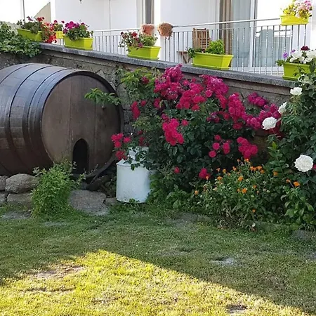 Spacious House With Garden Near Bemposta + Private Pool Bemposta (Braganca)