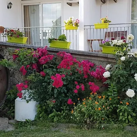 Spacious House With Garden Near Bemposta + Private Pool Casa de Férias